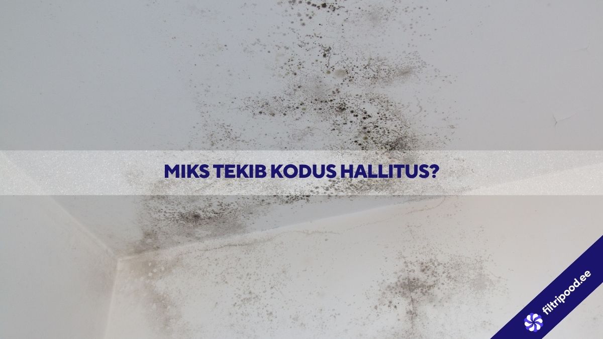 Miks tekib kodus hallitus? filtripood